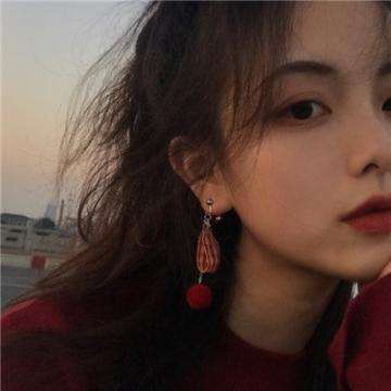 极光计划砖块迷宫建造者下载